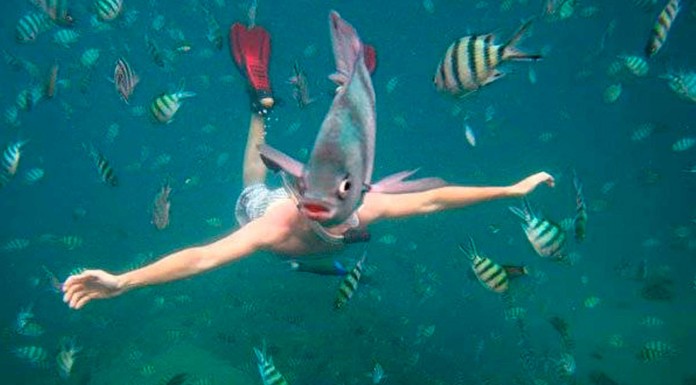 15 Imágenes que no son lo que parecen 15-Imágenes-que-no-son-lo-que-parecen