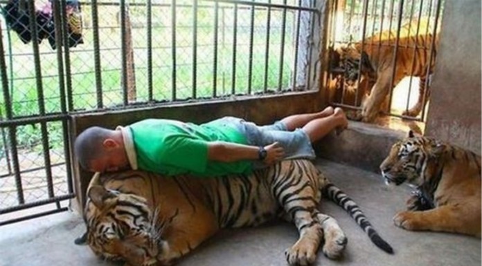 7 Ejemplos de que la gente está muy loca gente increible