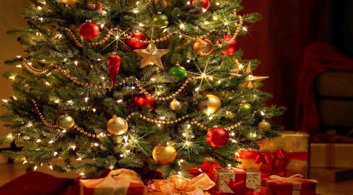 Decorando el árbol de Navidad por primera vez