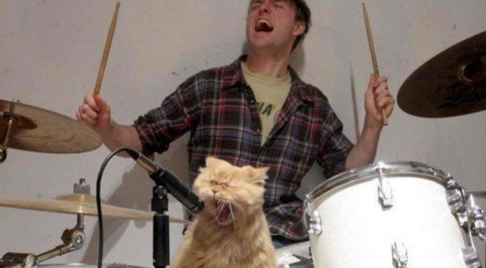 Villancicos cantados por divertidos animales