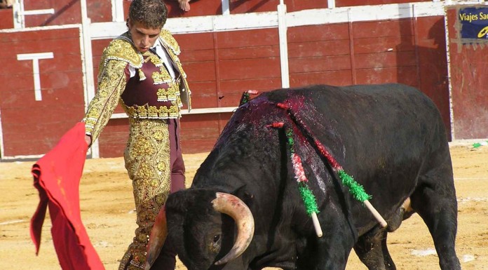 Las muertes más irónicas