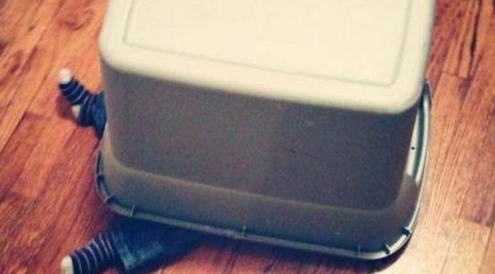 Cuando los niños juegan al escondite