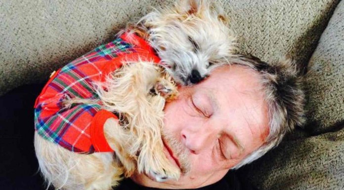 Animales que no respetan el espacio vital