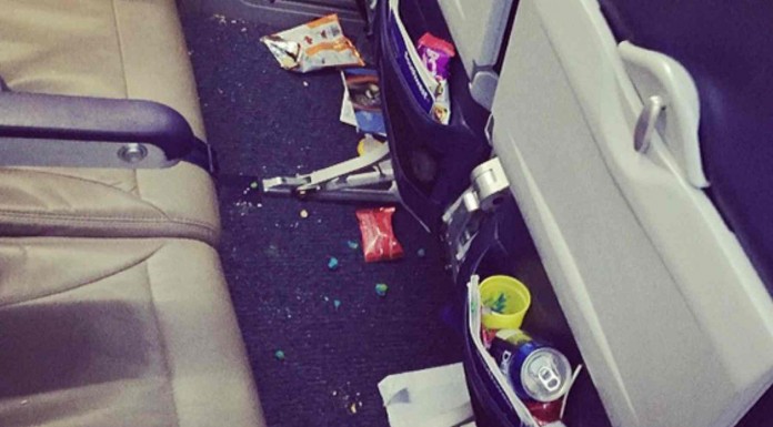 Los peores compis de avión