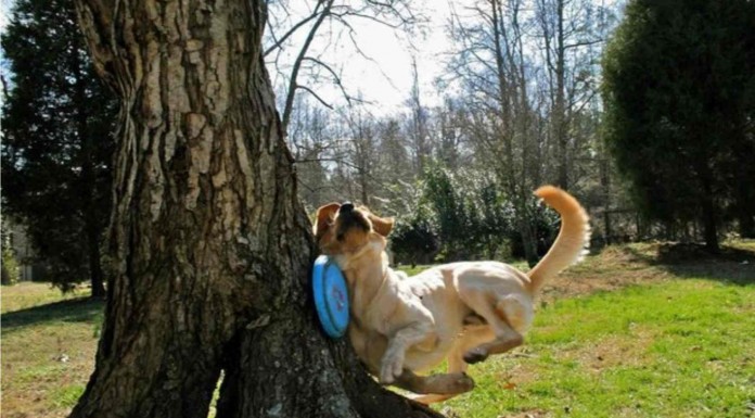 Divertidas fotos hechas en el momento exacto