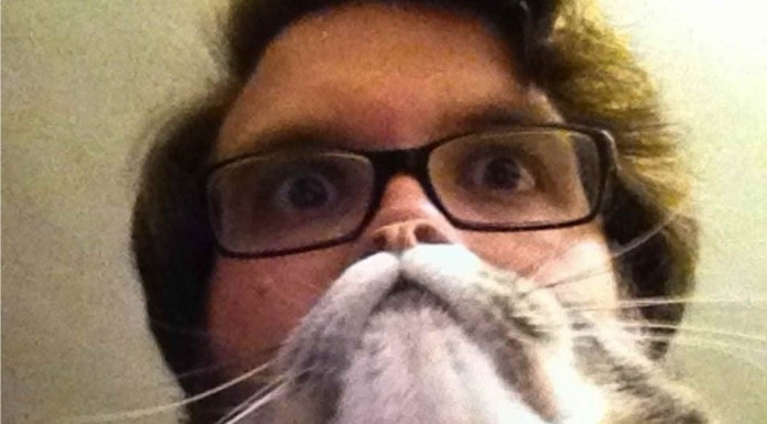 Señales de que tienes un problema con tu gato