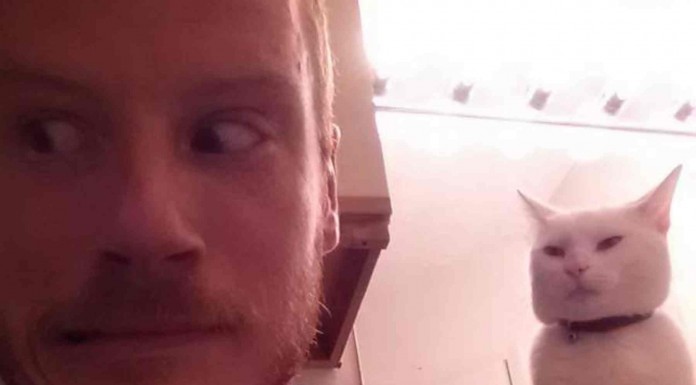 Mascotas que conspiran