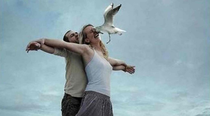 La vida está llena de humor