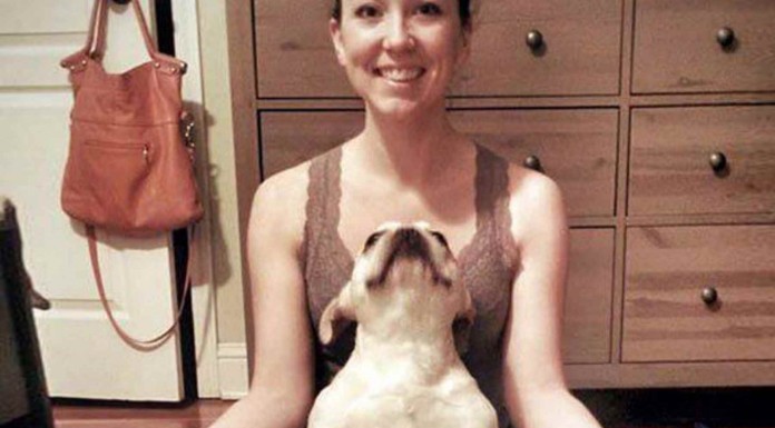 Animales haciendo yoga