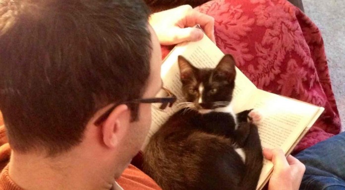 Es difícil leer si tienes mascotas