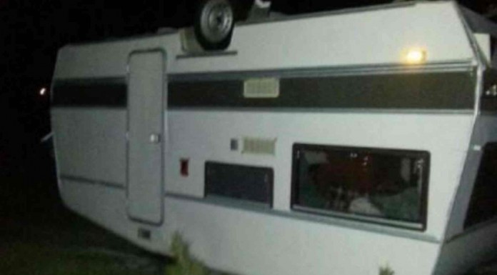 No a todo el mundo se le da bien ir de acampada, ¡alucina con la foto del oso, qué miedo!