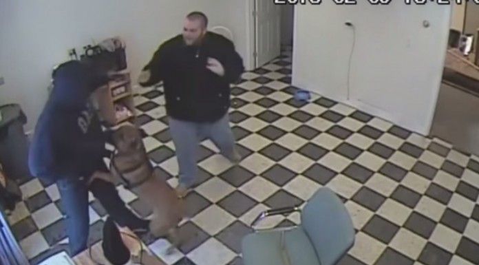 Intentan robarle en su tienda pero su perro reacciona de una manera increíble, ¡no te lo pierdas!