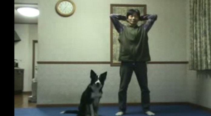 Este divertido perro es capaz de seguir el ritmo del ejercicio aeróbico sin perderse un paso jajaja