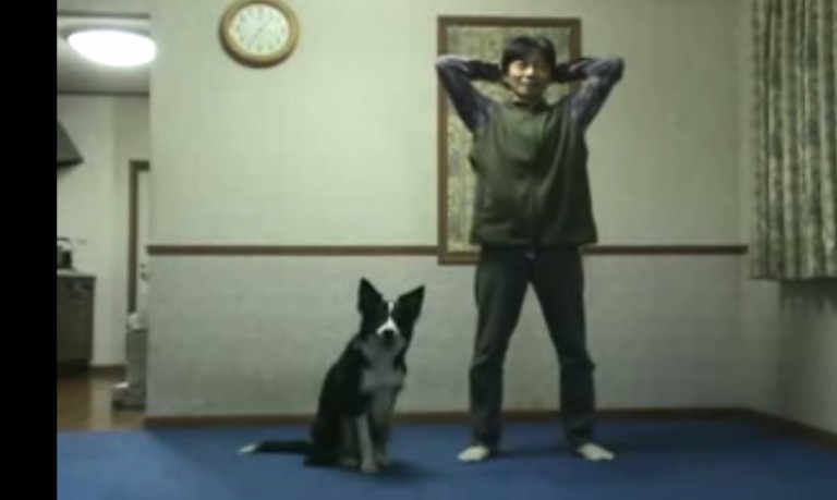 Este divertido perro es capaz de seguir el ritmo del ejercicio aeróbico sin perderse un paso jajaja