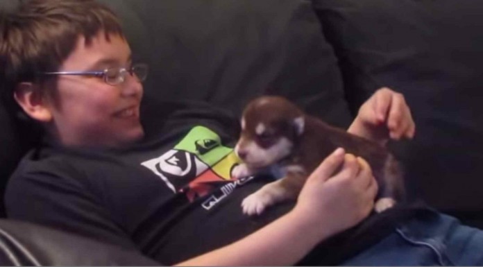 Un vídeo muy divertido de un niño que intenta enseñar a aullar a su lindo cachorro, ¡te encantará!