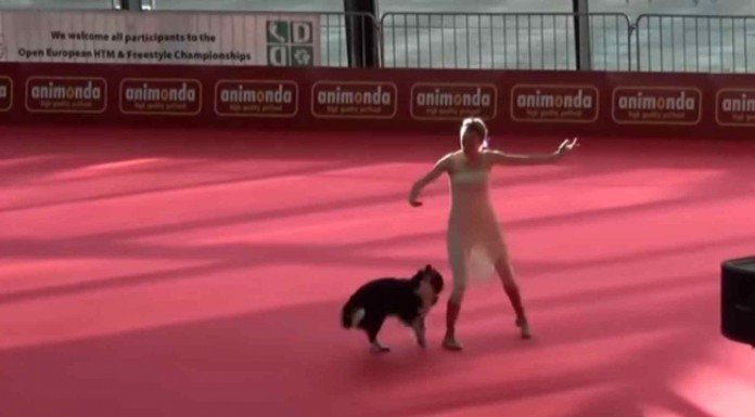 Este perro es capaz de emocionarte cuando se pone a bailar junto a su dueña. El resultado: un espectáculo increíble que no puedes perderte
