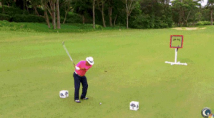 Hay gente que toma decisiones equivocadas y termina viviendo situaciones muy divertidas. ¡El golfista es lo mejor!