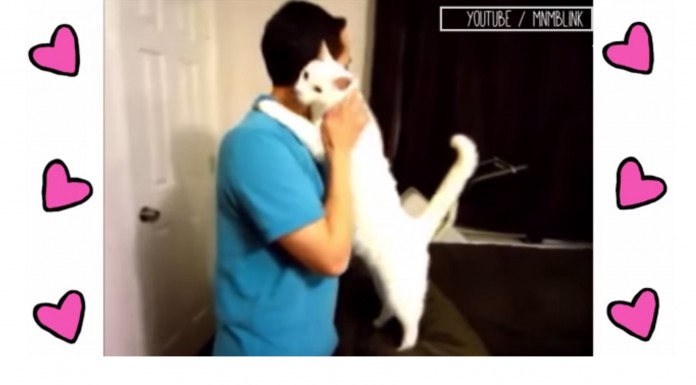 El amor que sentimos las personas hacia los animales a veces es indescriptible. No te pierdas este lindo vídeo