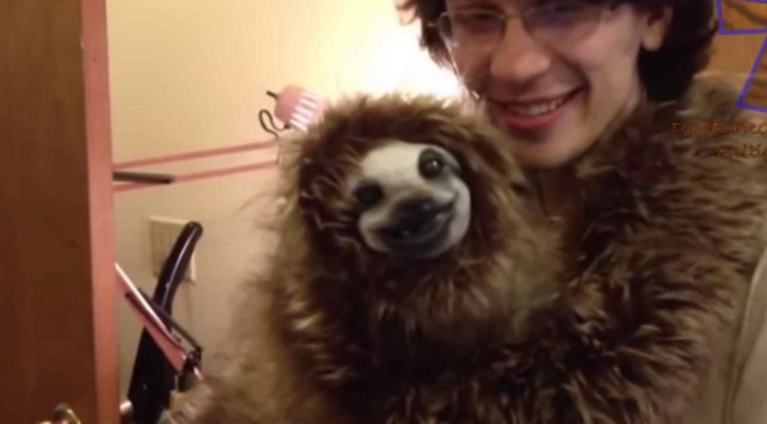 Mira cómo estos animales salvajes que pueden ser tratados como si fueran animales de compañía LOL