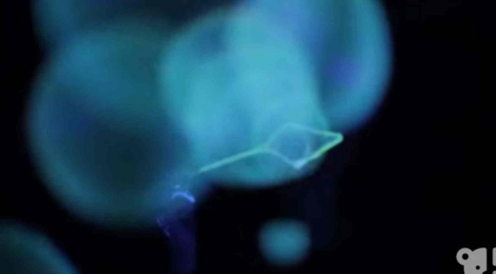 Alucinarás con lo que consigue hacer este artista con burbujas de jabón. ¿Habías visto algo parecido?