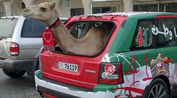 Estas cosas solo pueden pasar en un sitio en concreto: ¡en la exótica y lujosa Dubai! Alucina