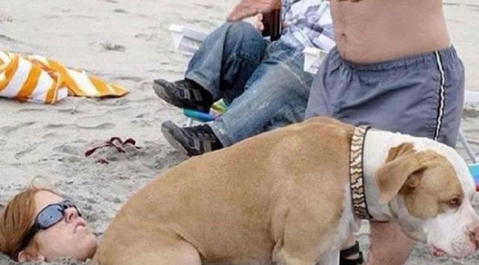 Estas personas fueron un día a la playa y, con la emoción, terminaron protagonizando escenas súper divertidas, ¡no te las pierdas!