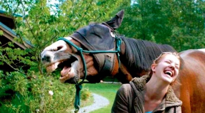 Estas fotos fueron tomadas en el momento exacto y el resultado es MUY gracioso. ¡No te pierdas la del bebé con orejas de perro! xD