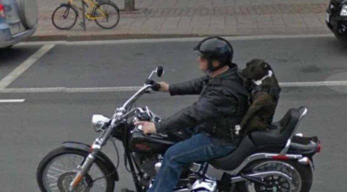 Las cámaras de Google Maps captan escenas cotidianas inesperadas y muy divertidas ¡No te creerás lo que llega a pasar por nuestras calles!