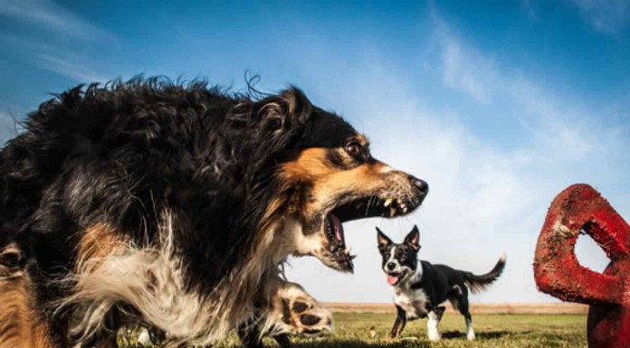 Estas fotos se hicieron desde una perspectiva diferente y el resultado es absolutamente asombroso ¡alucina con estas imágenes!