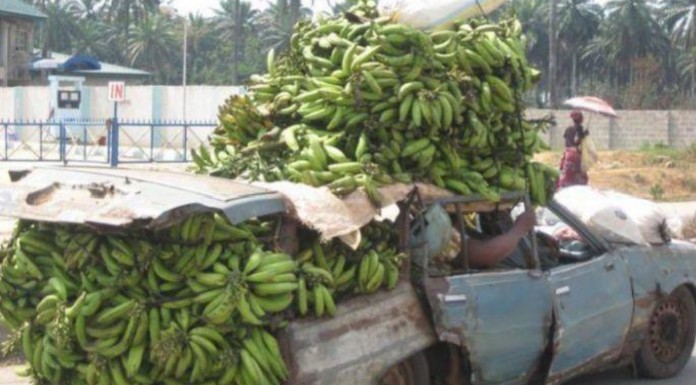 En el mundo pasan cosas extraordinarias y hoy queremos hacer un homenaje a las locuras más divertidas que hemos encontrado en Internet LOL