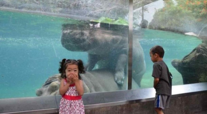 No podrás dejar de reír cuando veas estos gifs graciosos que fueron tomados en el momento justo ¡lo que le pasa al niño es genial!