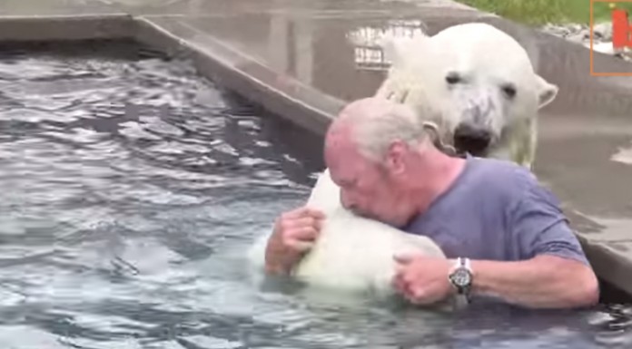 Os presentamos al único hombre en el mundo entero que es capaz de bañarse con un oso polar WTF