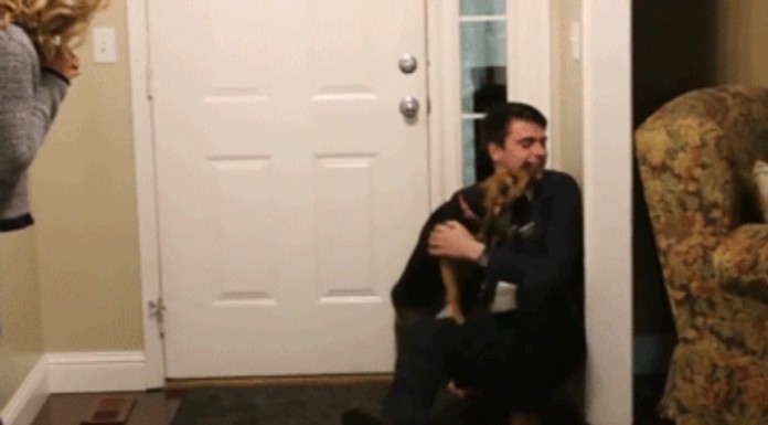 Este perro se alegra mucho de que su mejor amigo vuelva a casa