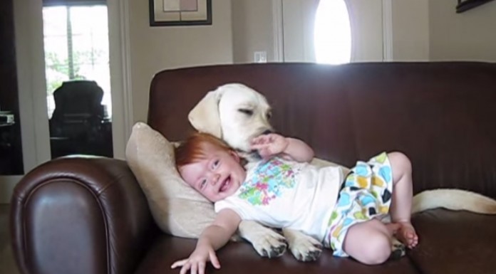 Mira qué bien se lo pasan este bebé y su perro en el sofá ¡son muy amigos!