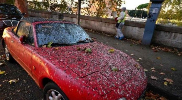 Estas personas decidieron usar un día el coche pero no se esperaban lo que les podía llegar a ocurrir ¡no te pierdas estas fotos graciosas!