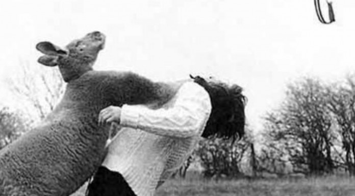 Estas personas están pilladas justo en el momento en el que están teniendo pésima suerte jajaja