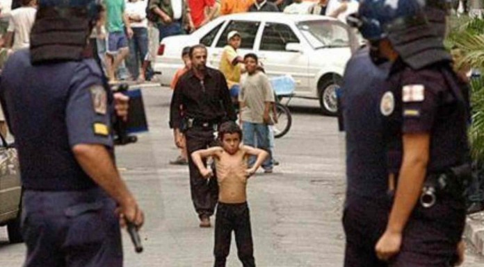 Alucina con estas imágenes graciosas que demuestran que estamos todos un poco loquitos… ¡No te pierdas la última, es brutal!