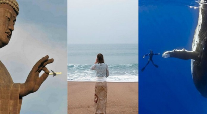 Fotos realizadas ¡en el momento justo! (Parte II)