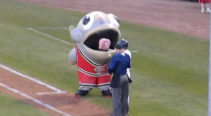 Mascota se come ¡a un jugador de béisbol!