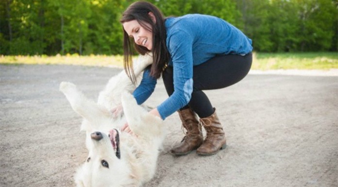 Perro ¡con cosquillas!