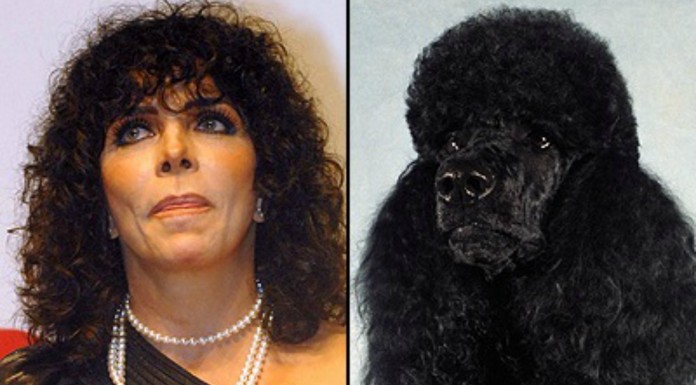 ¡Perros que se parecen a sus dueños! GRACIOSÍSIMO (Parte II)