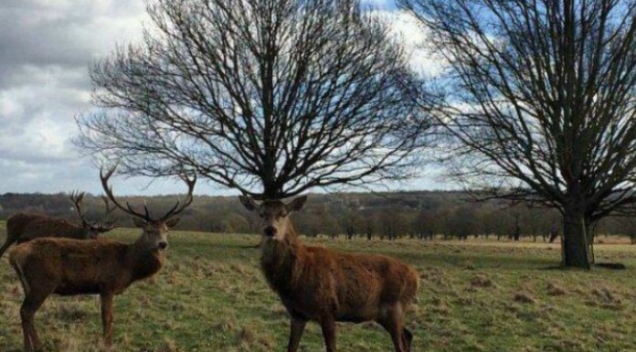Fotos realizadas ¡en el momento justo! (Parte III)