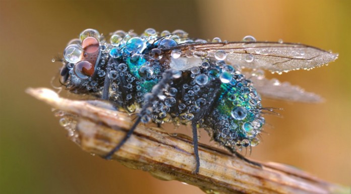 Cosas que no se ven todos los días ¡ALUCINANTE! (Parte I)