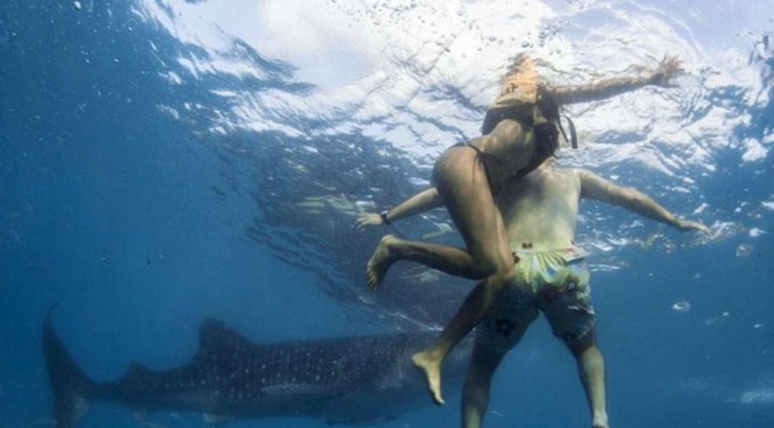 Pareja en la playa con mucho miedo ¡a los tiburones!