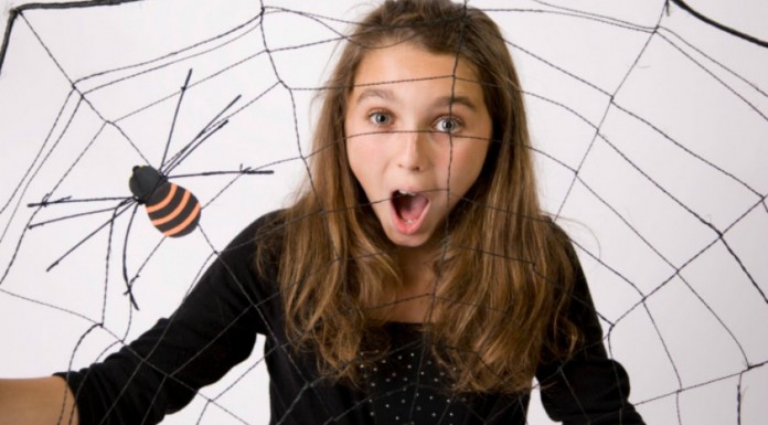 Una araña gigante ¡en la ciudad!