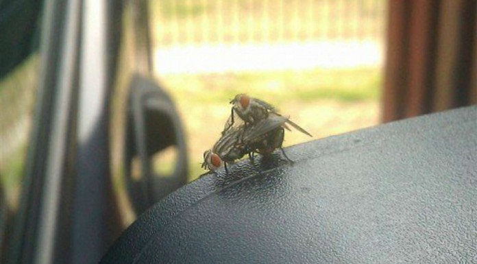 Vergüenza ajena, ¿qué les pasa a estas parejas? (Parte I)