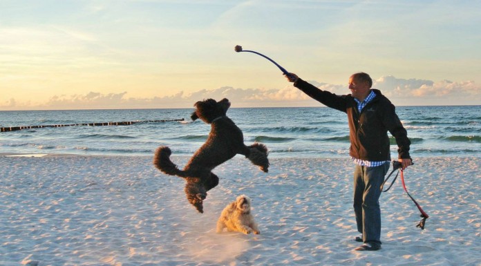 Personas que saben ¡cómo disfrutar de sus mascotas!