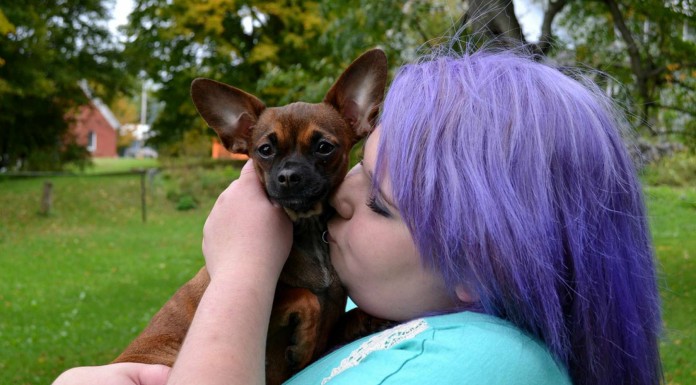 Animales a los que no les gusta nada que les des besos