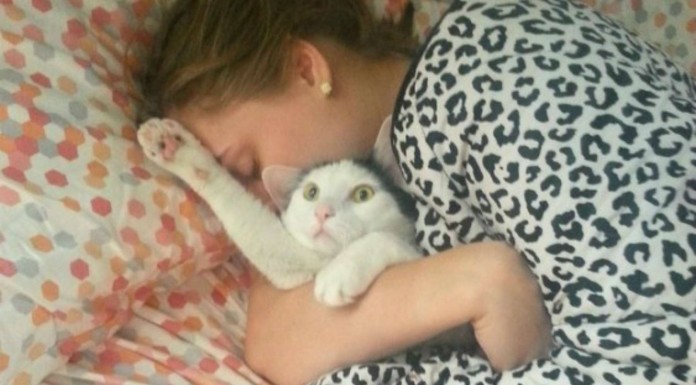 Gestos de gatos ¡divertidísimos! (Parte II)