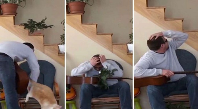 El karma ¡regresa de nuevo! (Parte I)